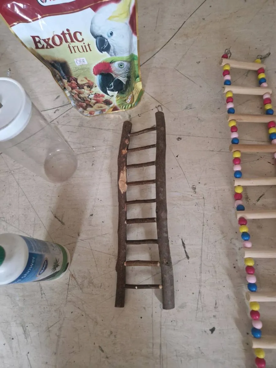 Bird cage items - Image 1