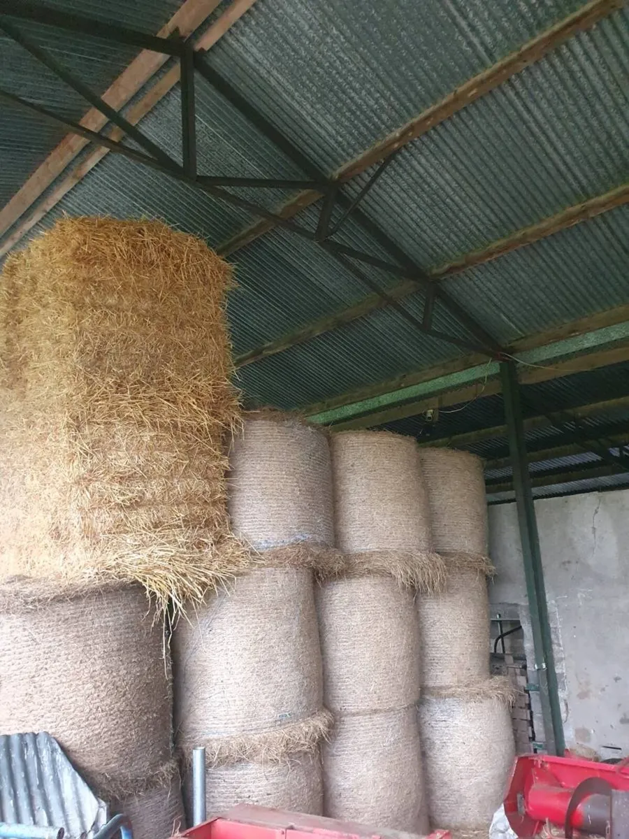 Hay for sale.. - Image 2