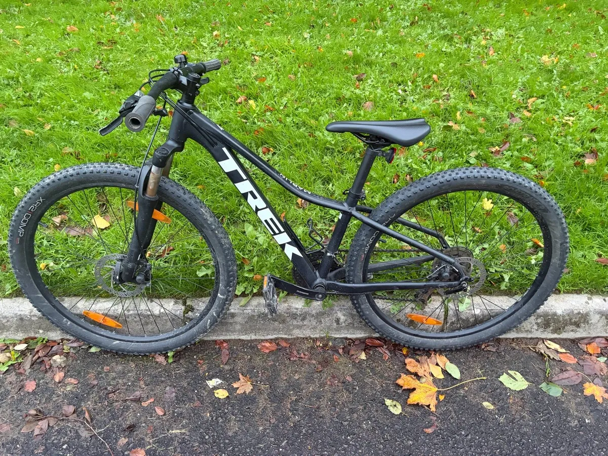 Mountain Bike - Image 1