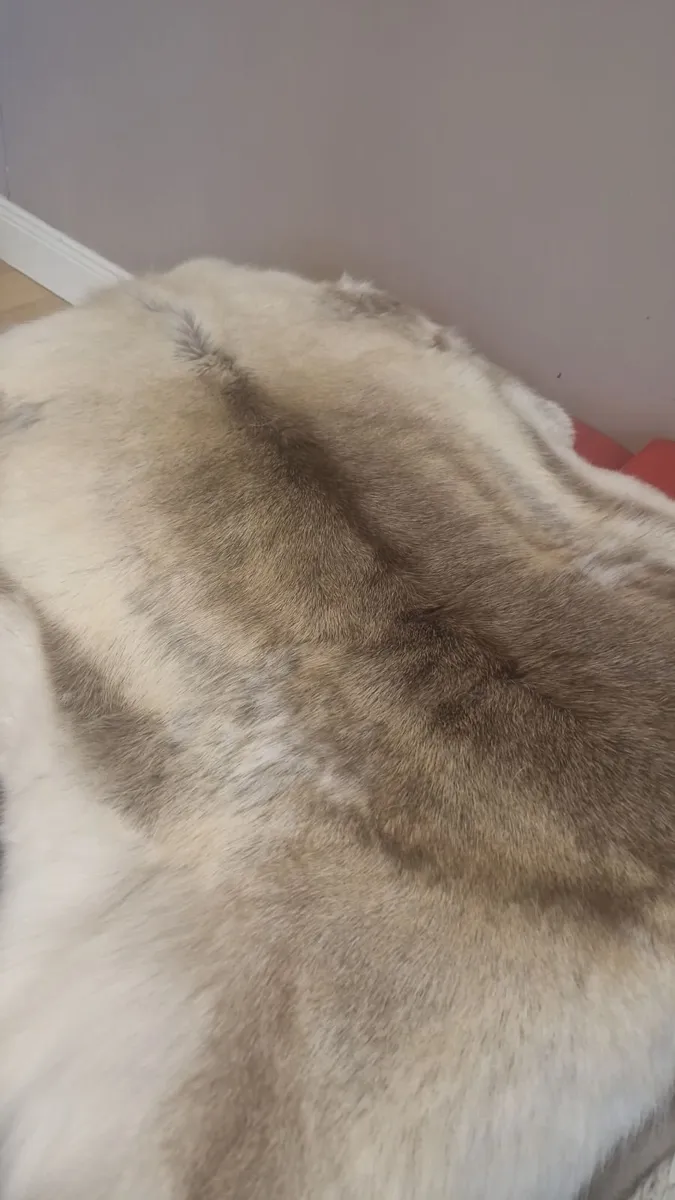 Genuine Reindeer Hide rug - Image 2