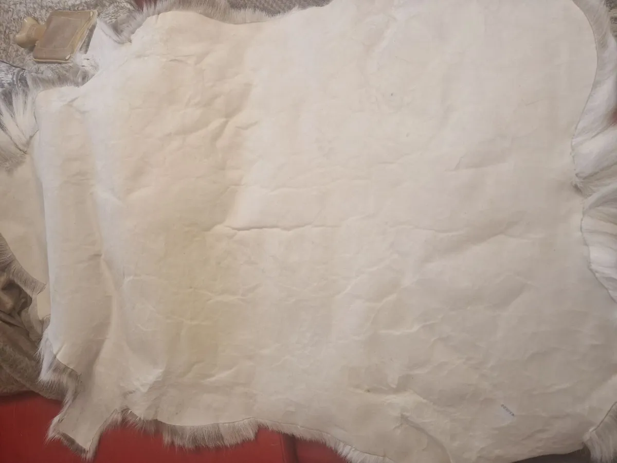 Genuine Reindeer Hide rug - Image 4