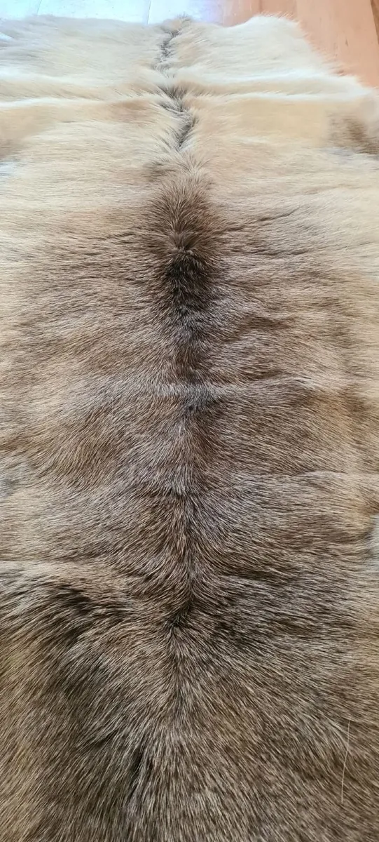 Genuine Reindeer Hide rug - Image 1