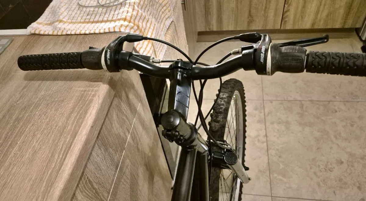 ADULTS GIANT ESCAPE BIKE 21” FRAME - Image 4