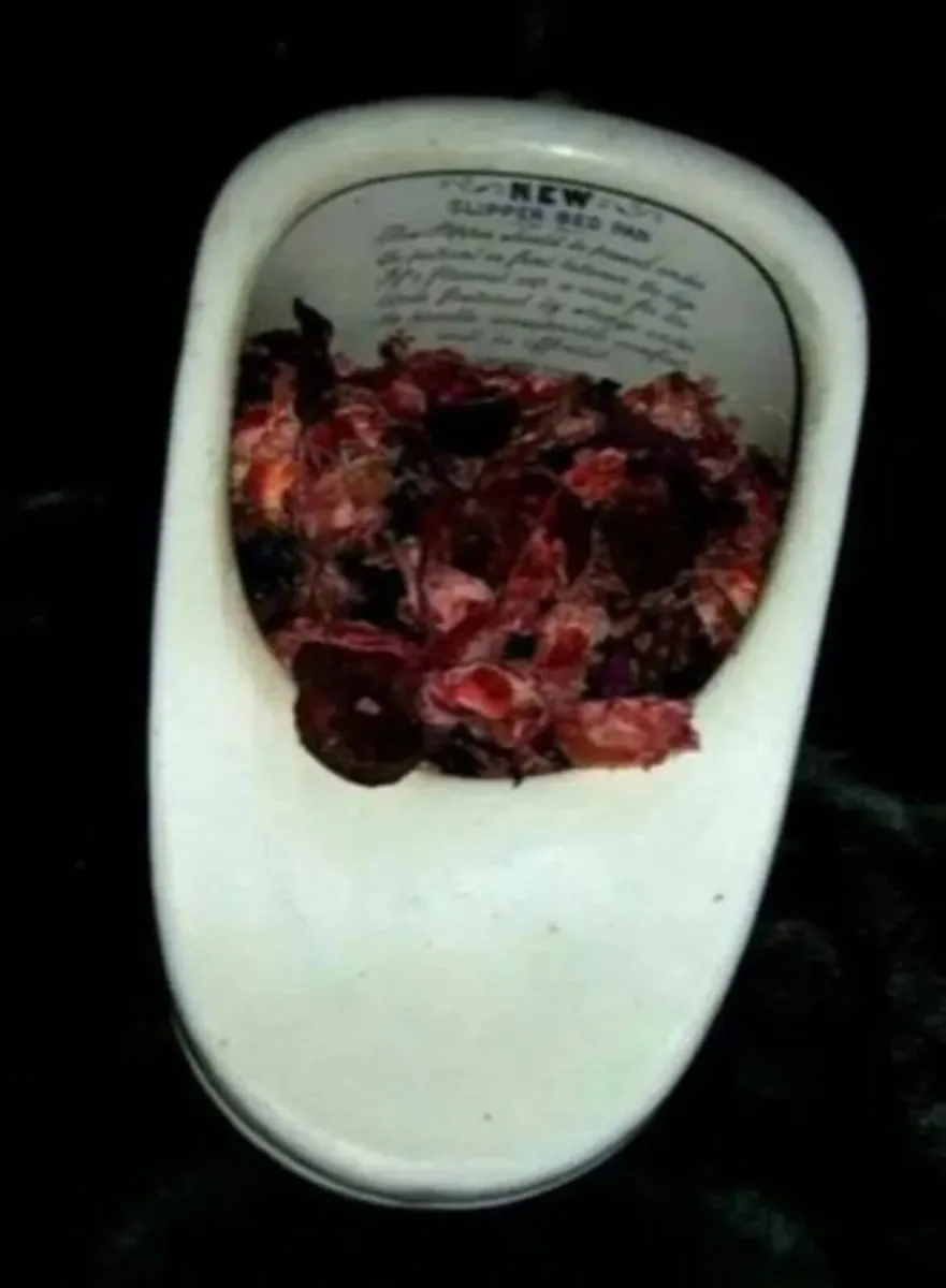 Authentic Vintage Bedpan - Image 3