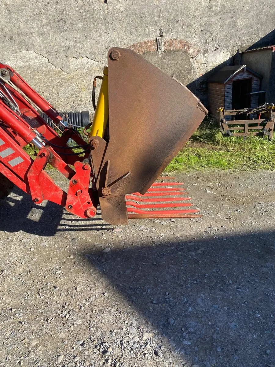 Rossmore Shear geab - Image 3