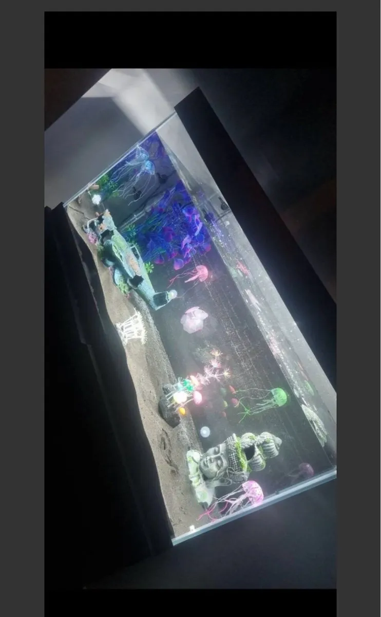 300L Aquarium & Cabinet + JBL External Filter - Image 4