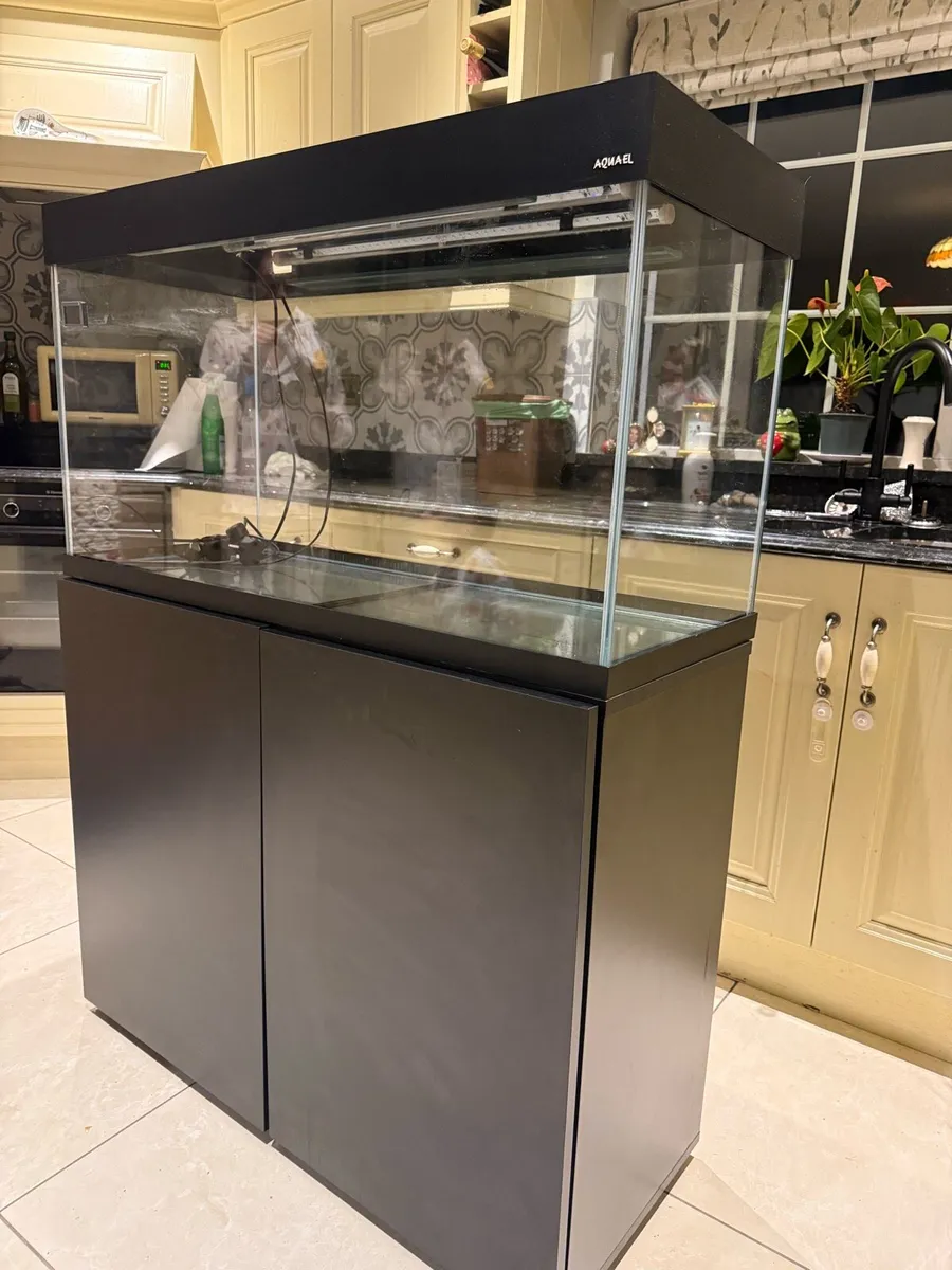 300L Aquarium & Cabinet + JBL External Filter - Image 2