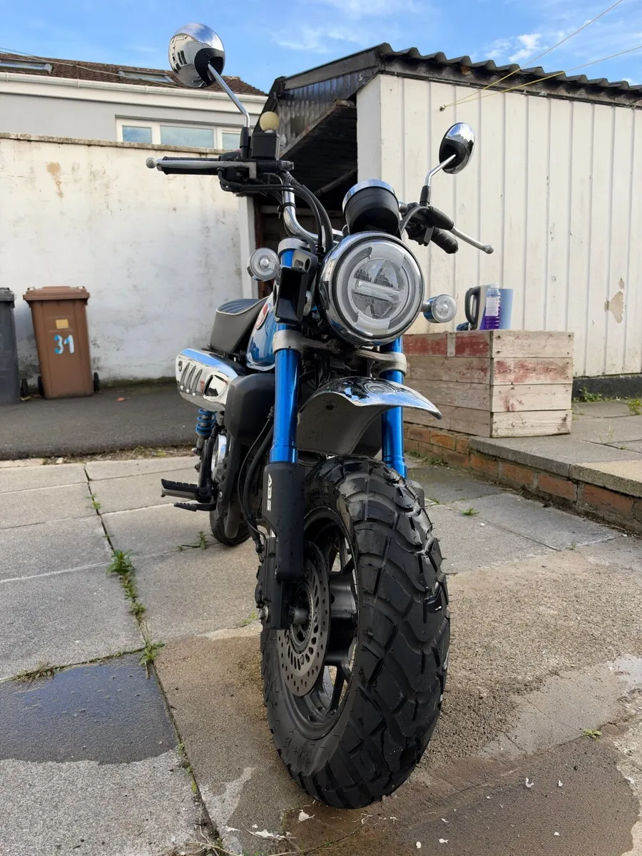 Honda Monkey 125, 2022 - Image 3