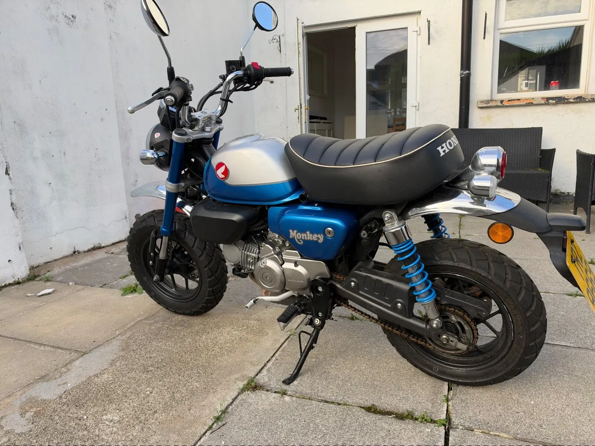 Honda Monkey 125, 2022 - Image 4