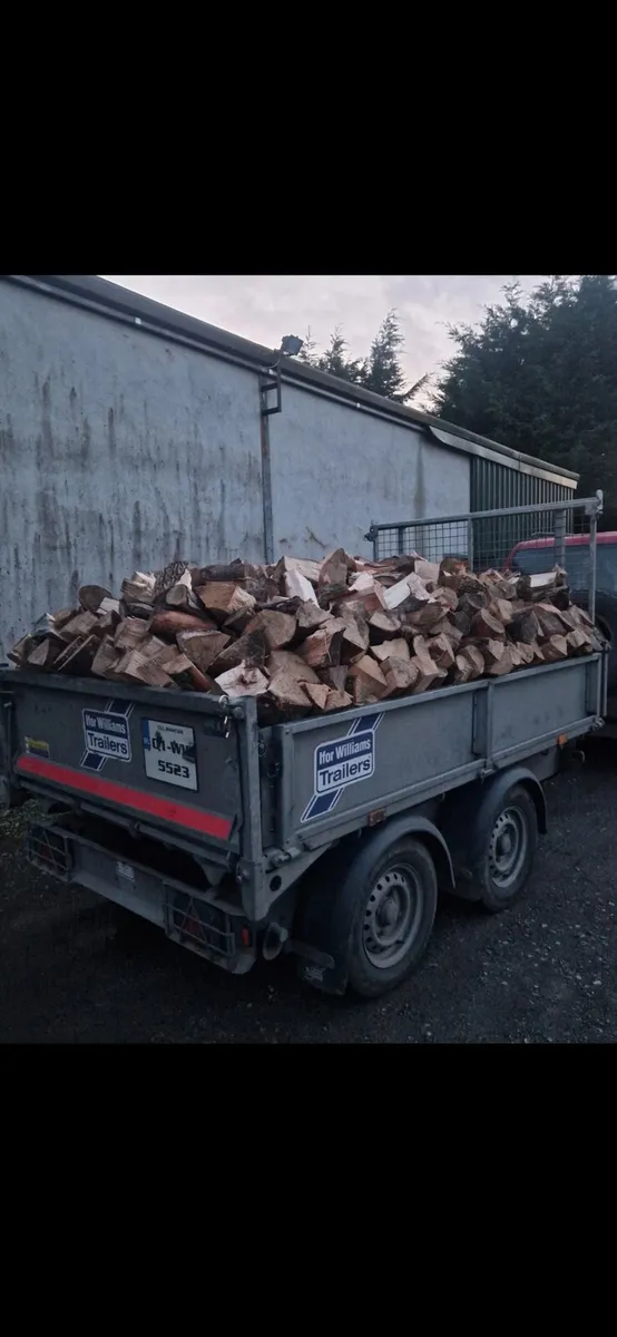 Firewood - Image 1