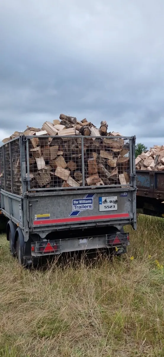 Firewood - Image 4
