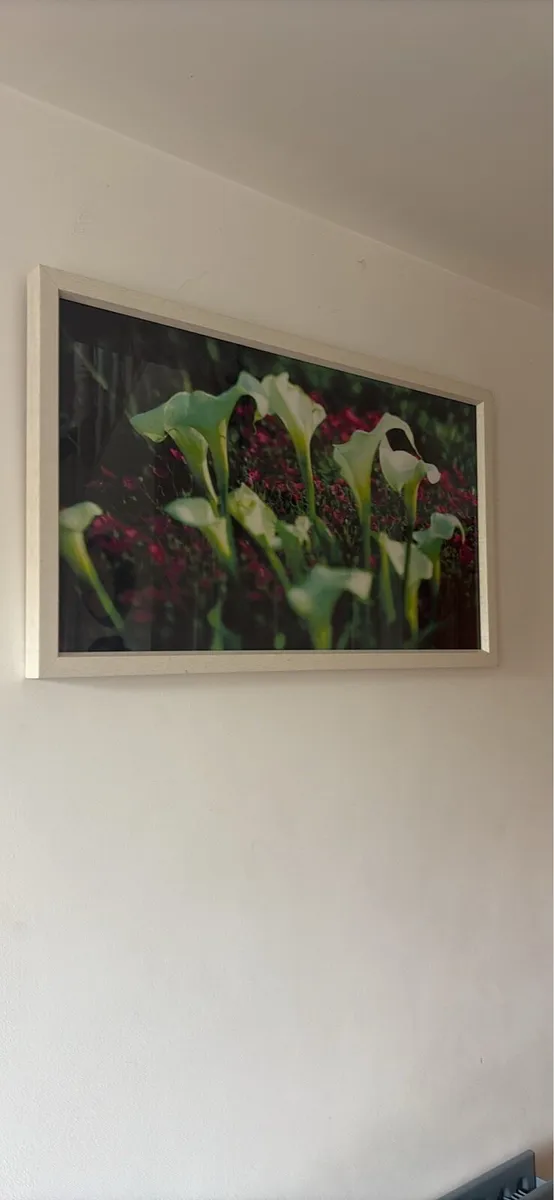 Glass framed Photos - Image 2