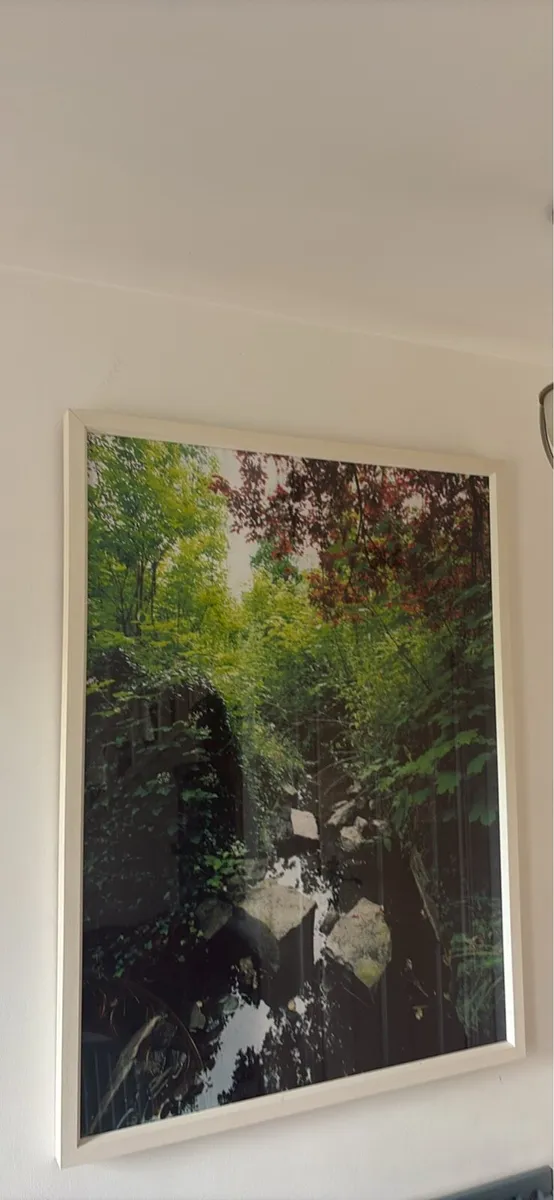 Glass framed Photos - Image 4