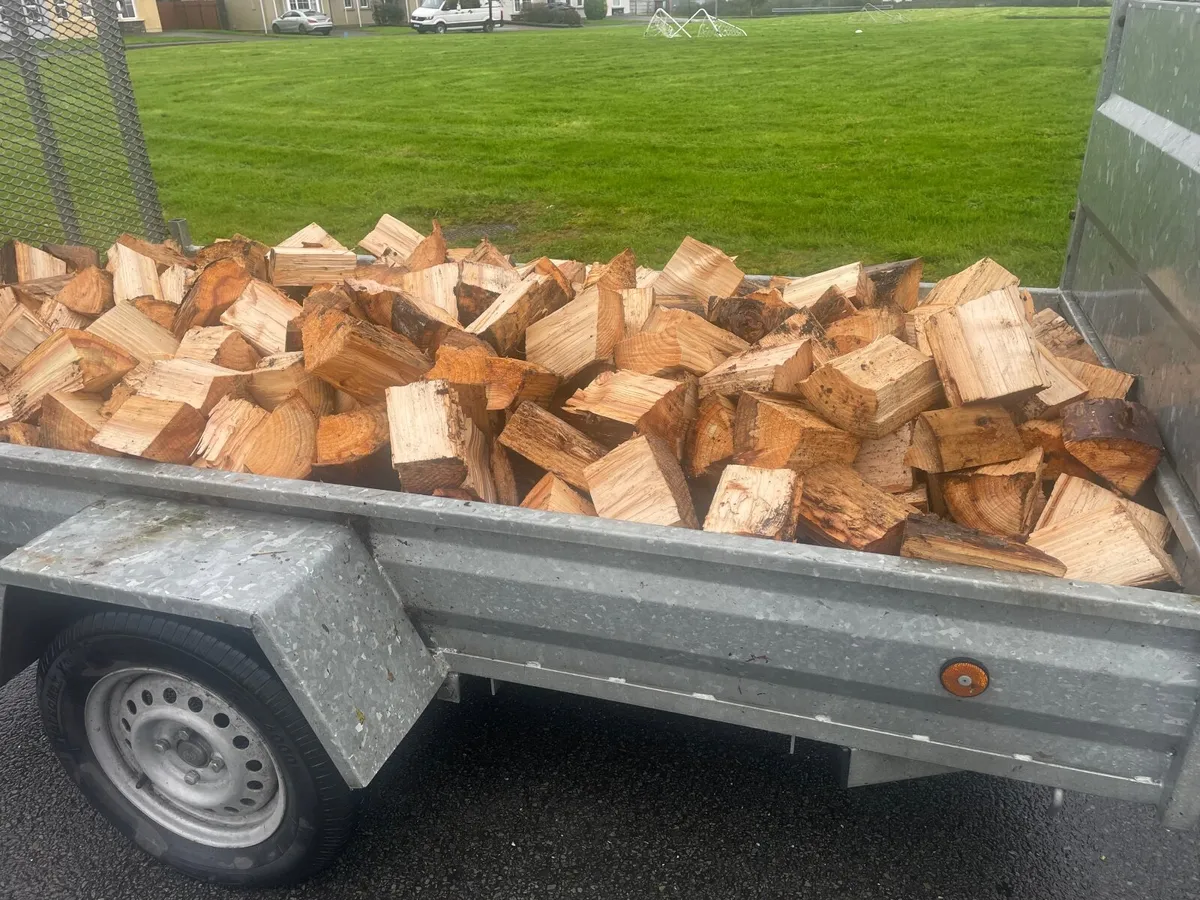 Timber Firewood - Image 2