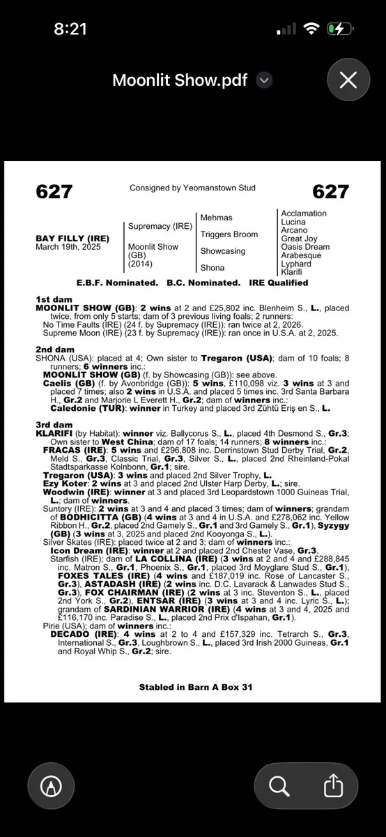 Broodmare - Image 1