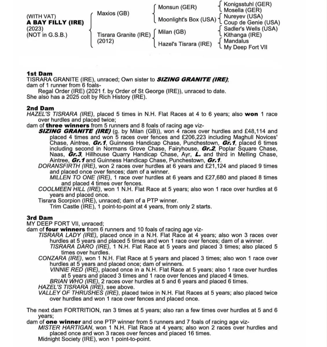 3 year Maxios NH filly - Image 4