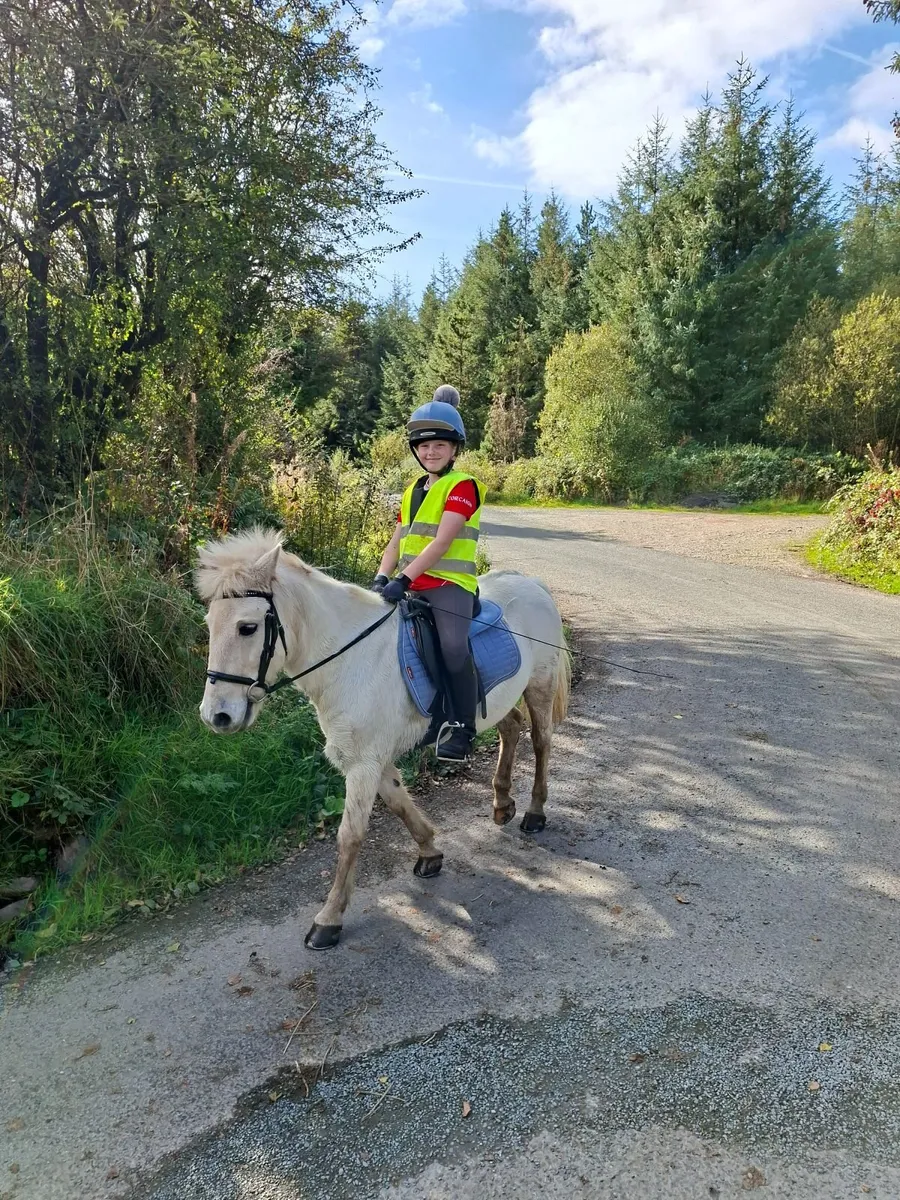 Pony - Lead rein, first time pony - Image 1