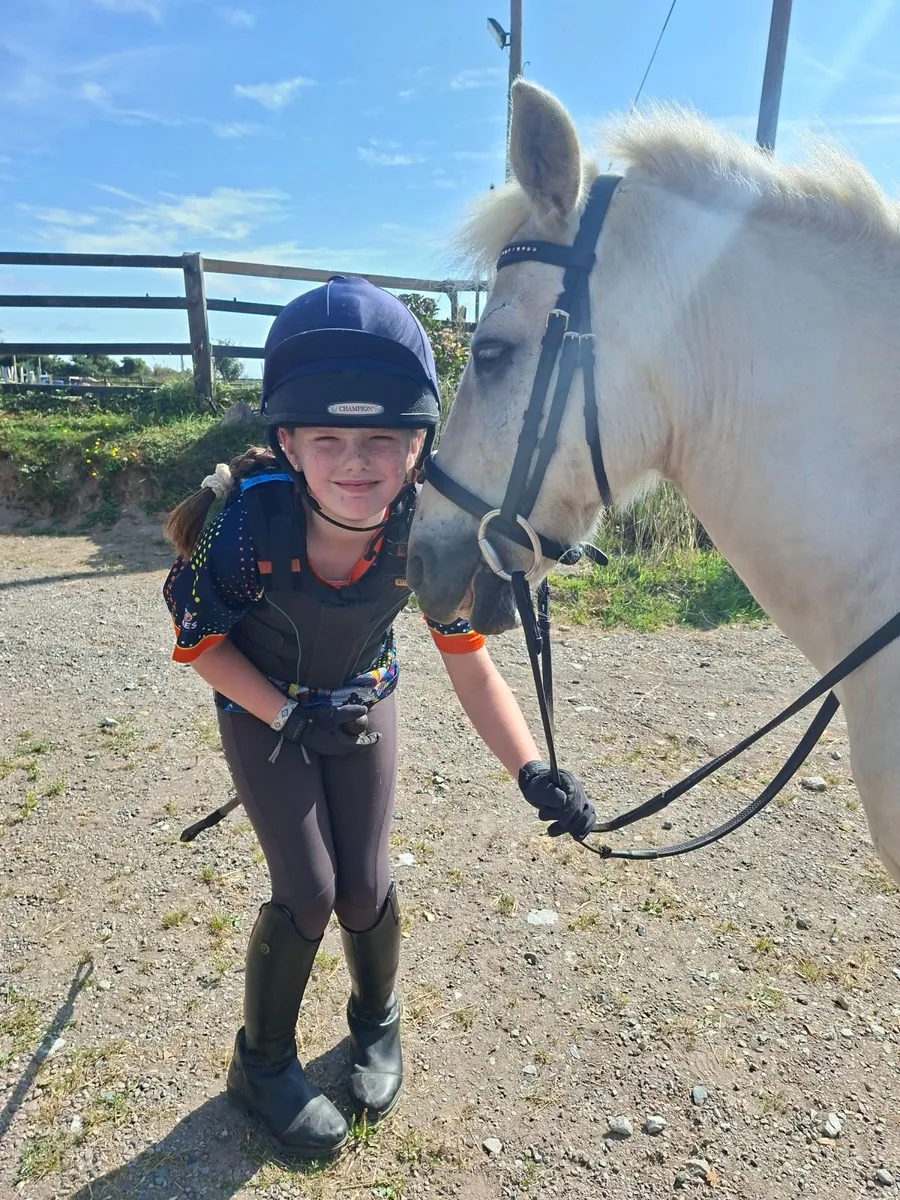 Pony - Lead rein, first time pony - Image 3
