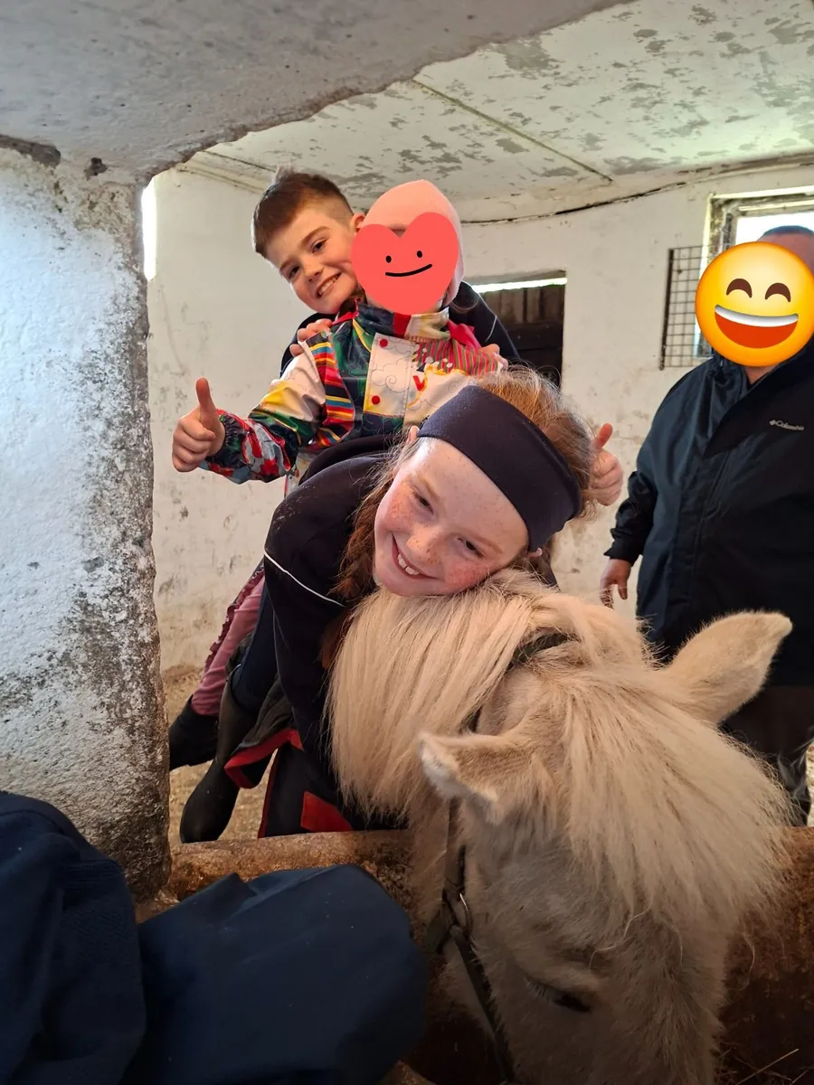 Pony - Lead rein, first time pony - Image 4