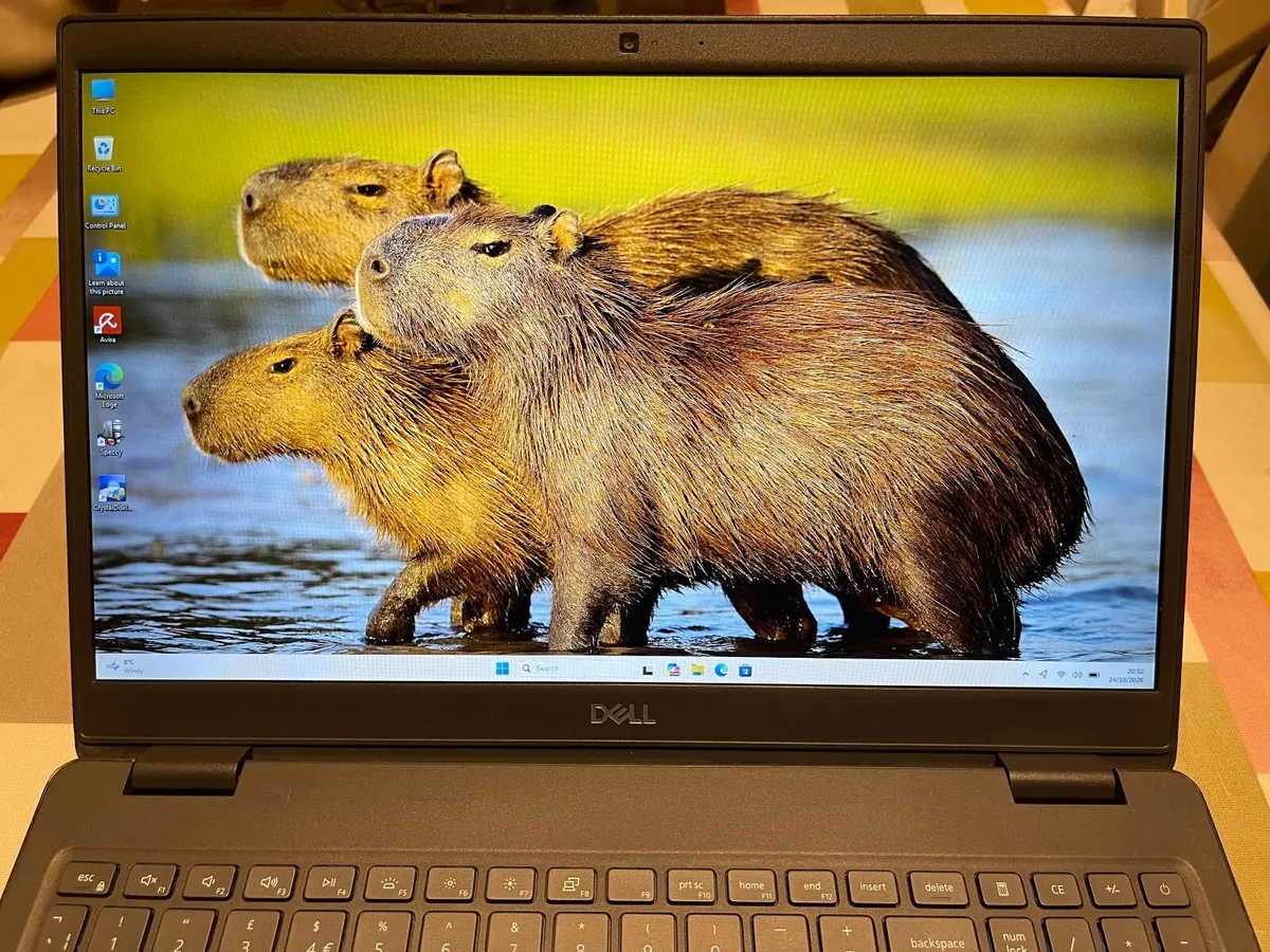 Dell 3510 - i5-10210U-16GB-256GB SSD - Image 4