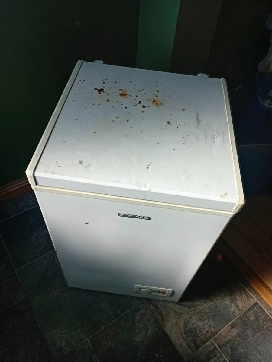 Box freezer - Image 3