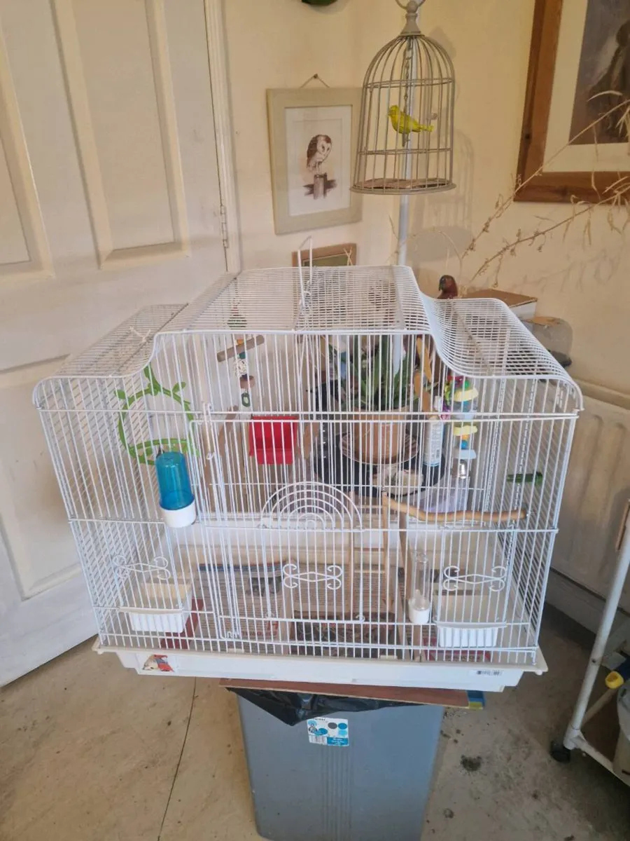 Bird cage food.budgie.stand - Image 2