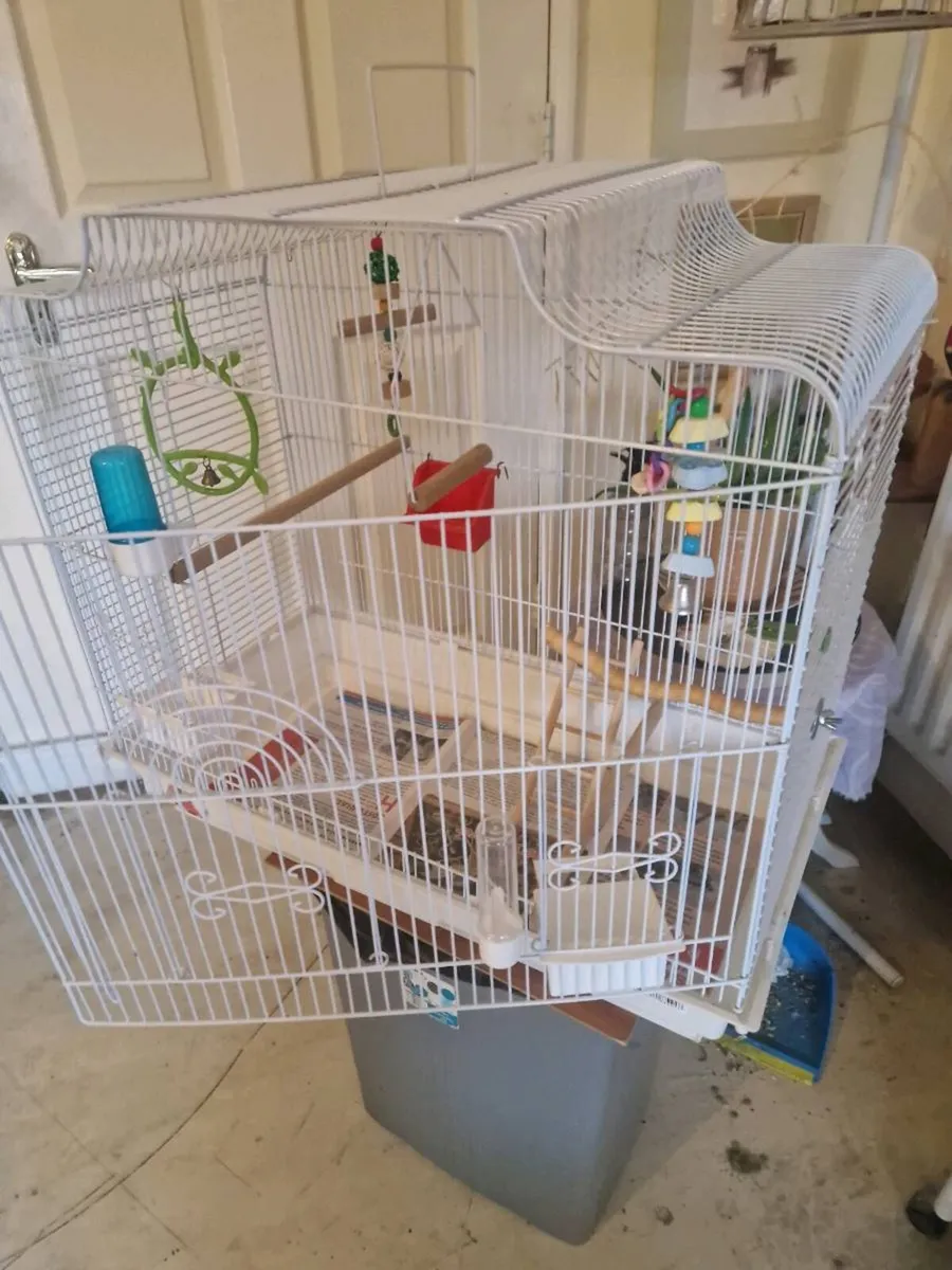 Bird cage food.budgie.stand - Image 3