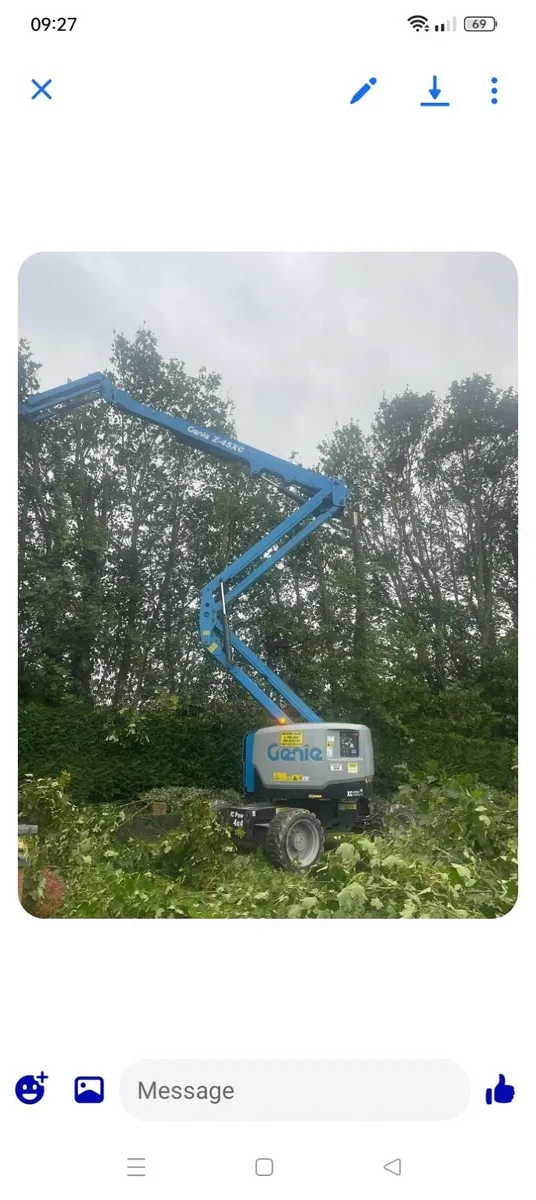 Tree care - Image 2