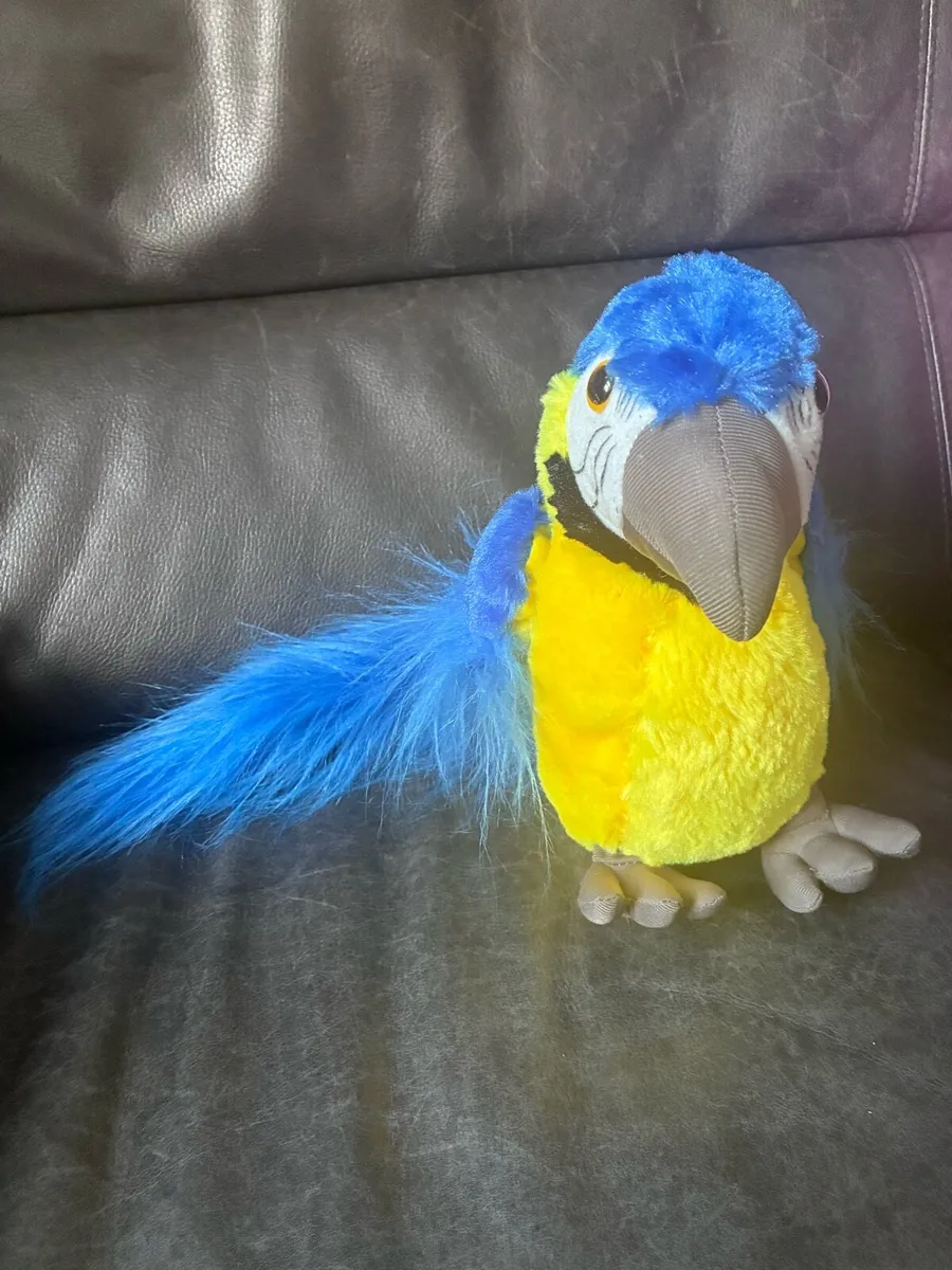 Parrot soft toy - Image 2