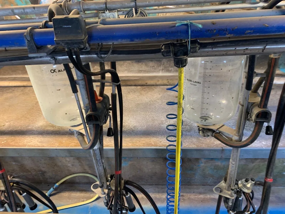 7 unit Delaval parlour - Image 2