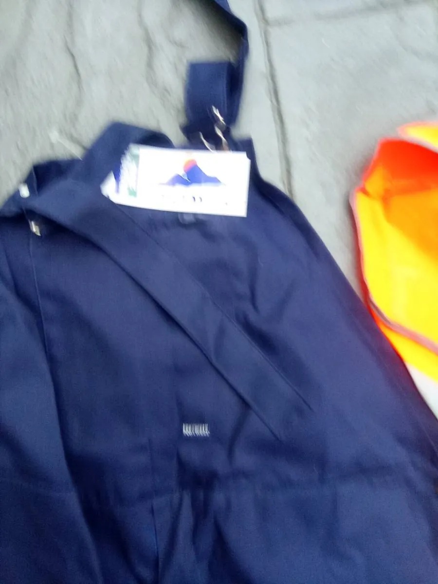 LARGE. BIB. AND. BRACE. OVERALLS.  AND.  VIZZI. - Image 2