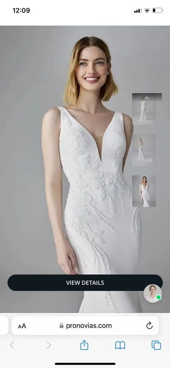 Pronovias Wedding Dress - Image 2