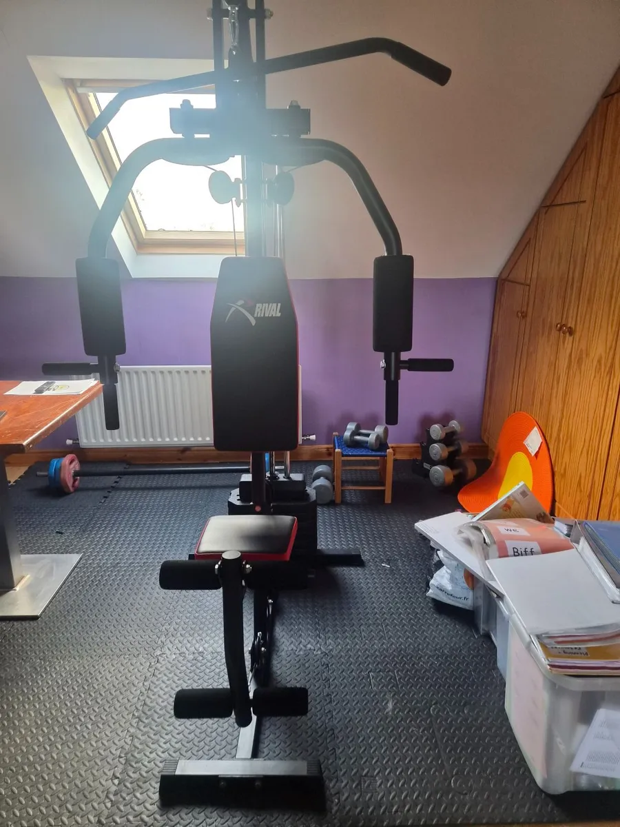 Home Weights Machine - Image 1