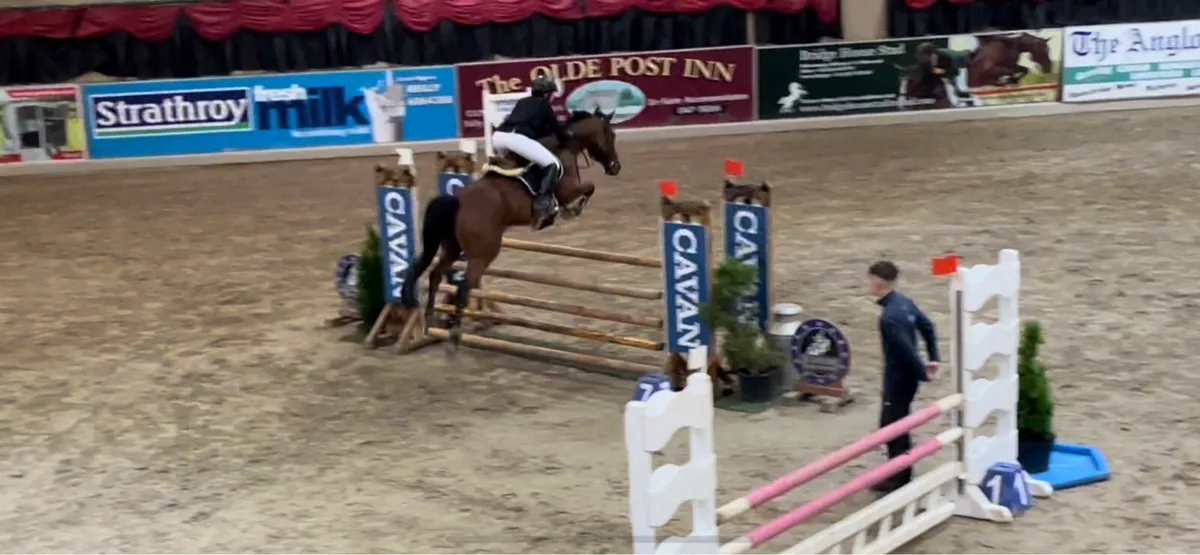 148 pony - Image 2