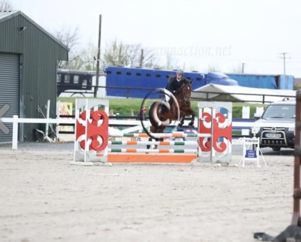 148 pony - Image 3