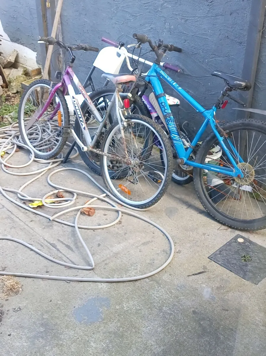 Bike - Image 2