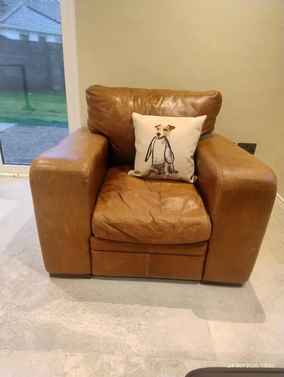 Brown leather Halo armchair - Image 4