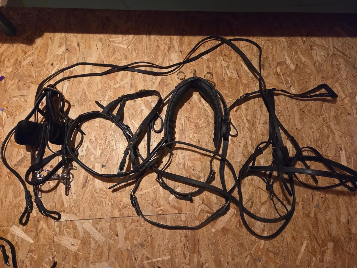 Pony/Donkey Harness for sale in Roscommon for €500 on DoneDeal