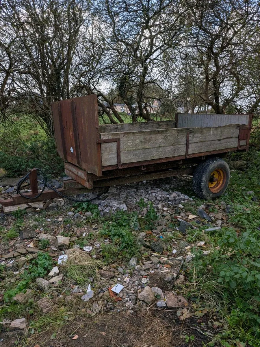 Tipping trailer - Image 1