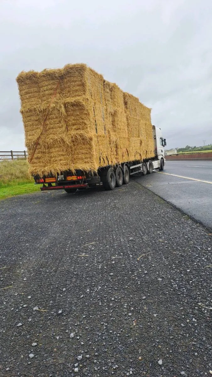 STRAW - Image 2