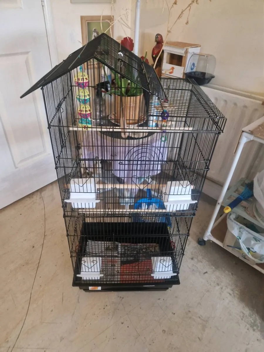 Bird cage - Image 1