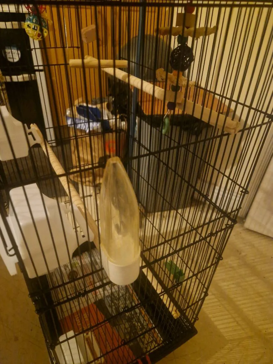 Bird cage - Image 2