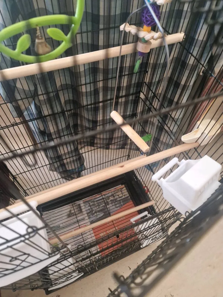 Bird cage - Image 3