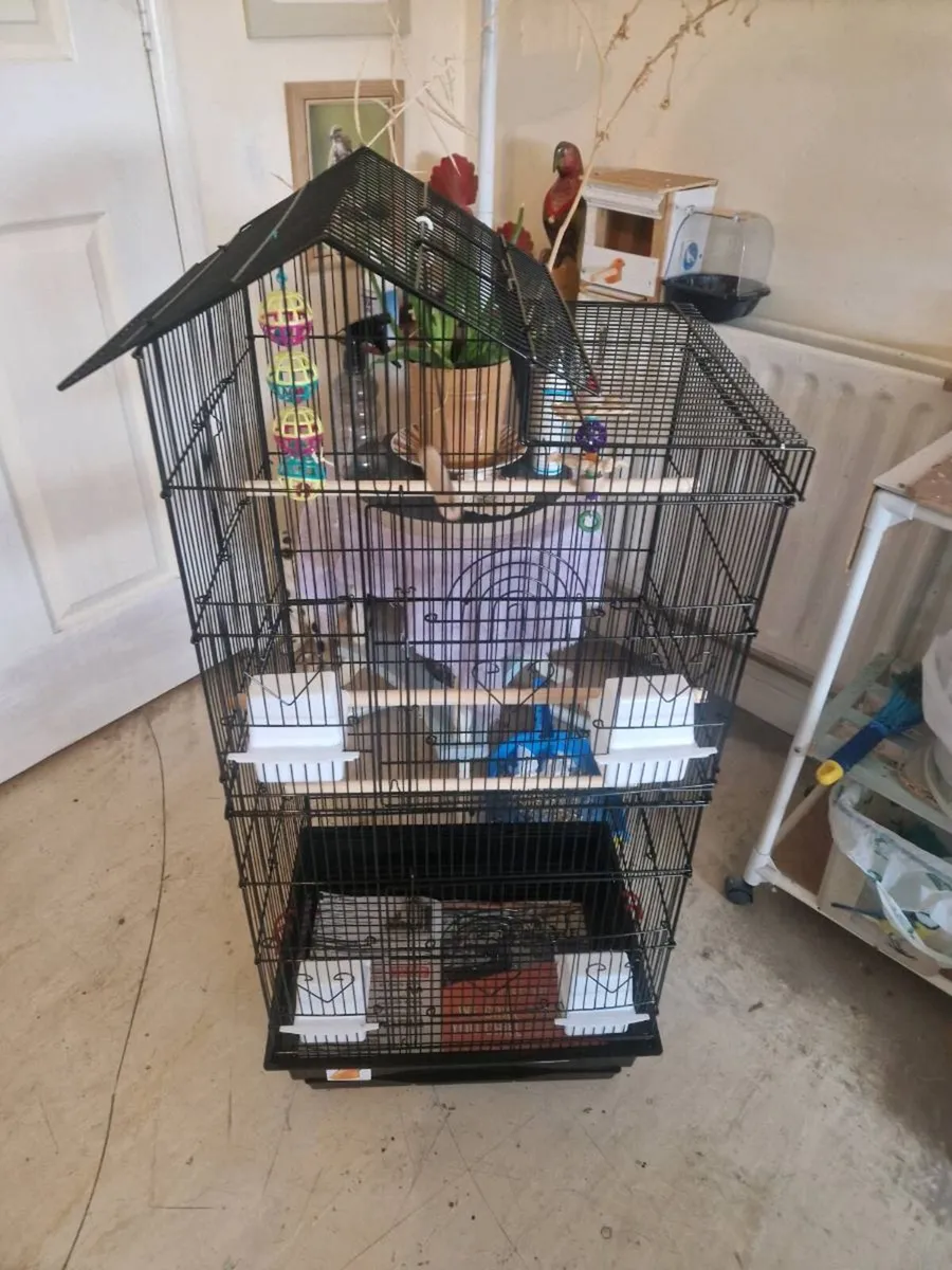 Bird cage - Image 4