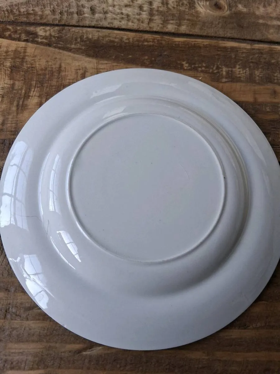 1960s GUINNESS WILLOW PATTERN PLATE - Image 3