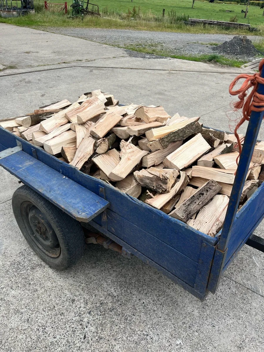 Dried Ash Firewood - Image 1