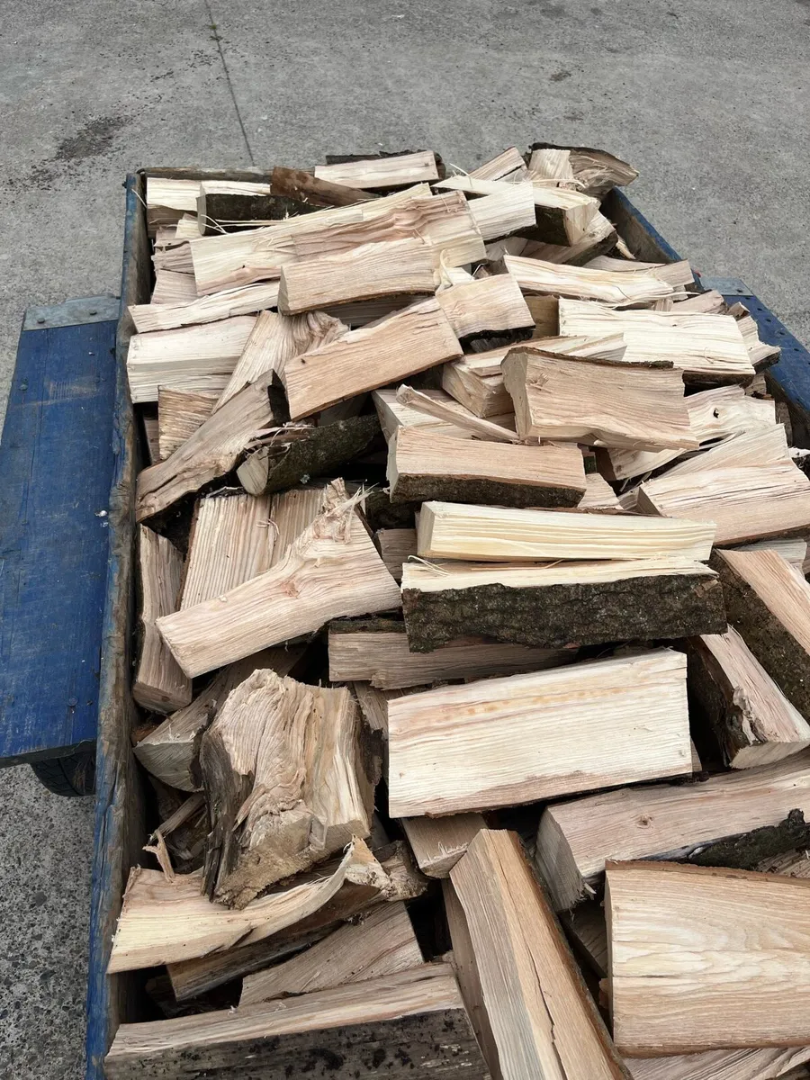 Dried Ash Firewood - Image 2
