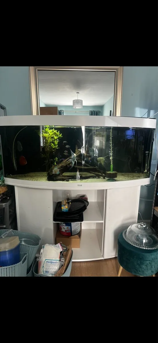 Juwel Vision 450L Aquarium