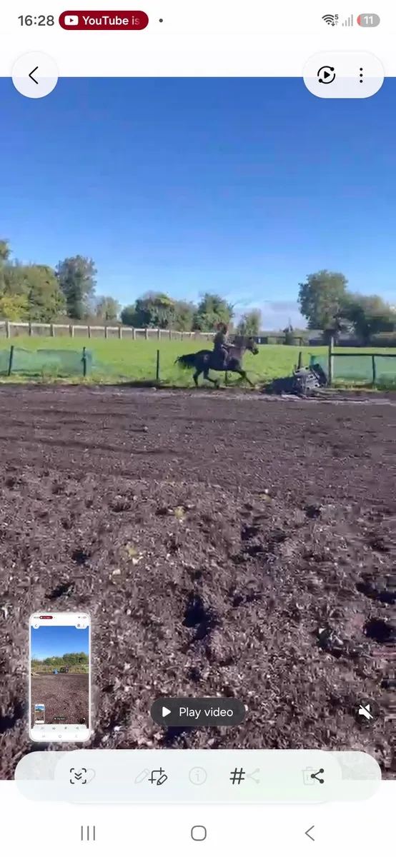 Horse - Image 4