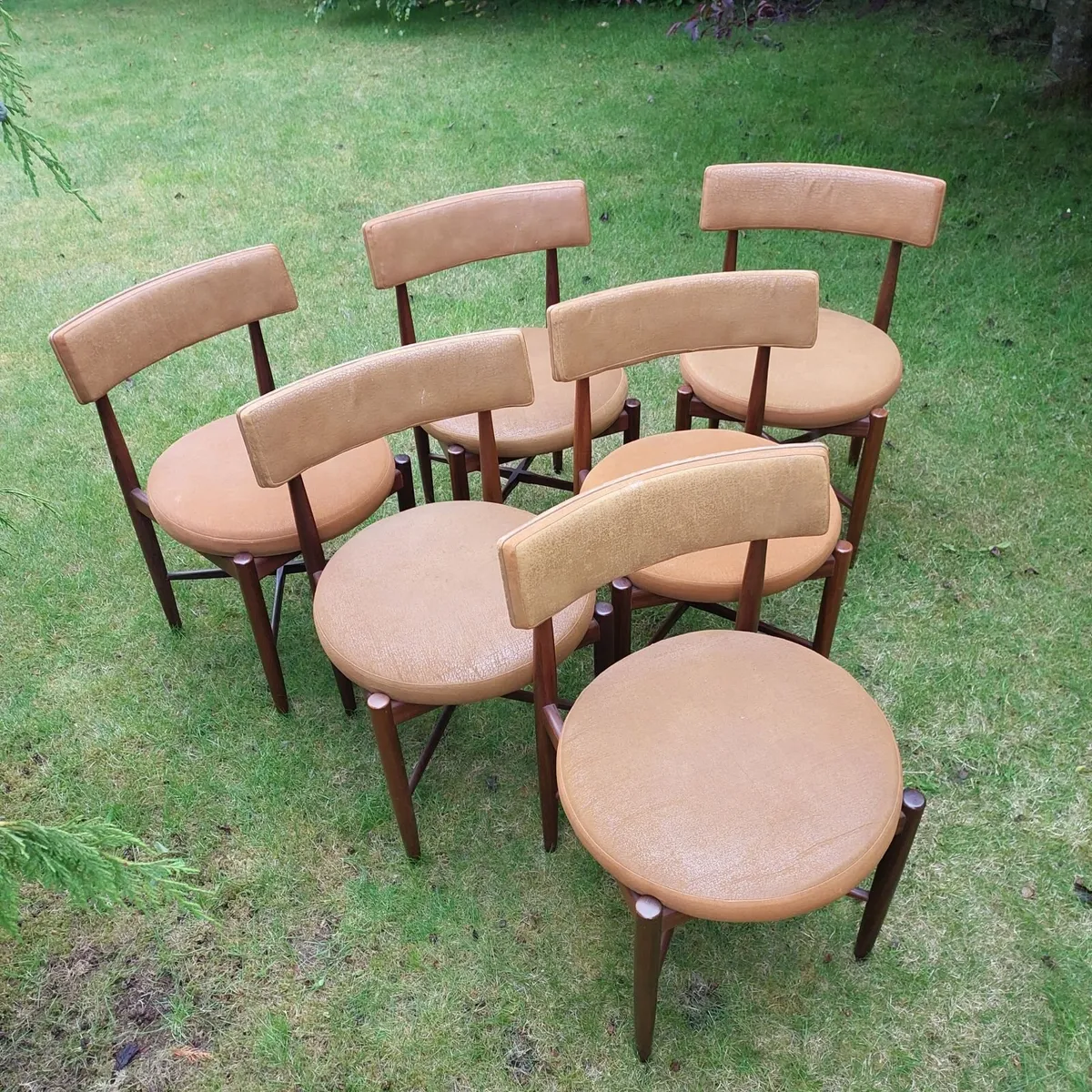Dining room chairs - Image 2